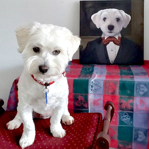 Sir - Custom Pet Canvas